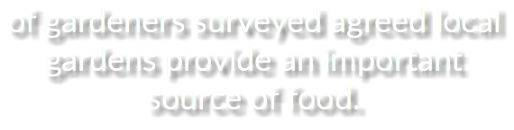 of gardeners surveyed agreed local gardens provide an important source of food.