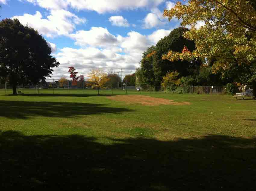Picture of the King Edawrd Park community garden site