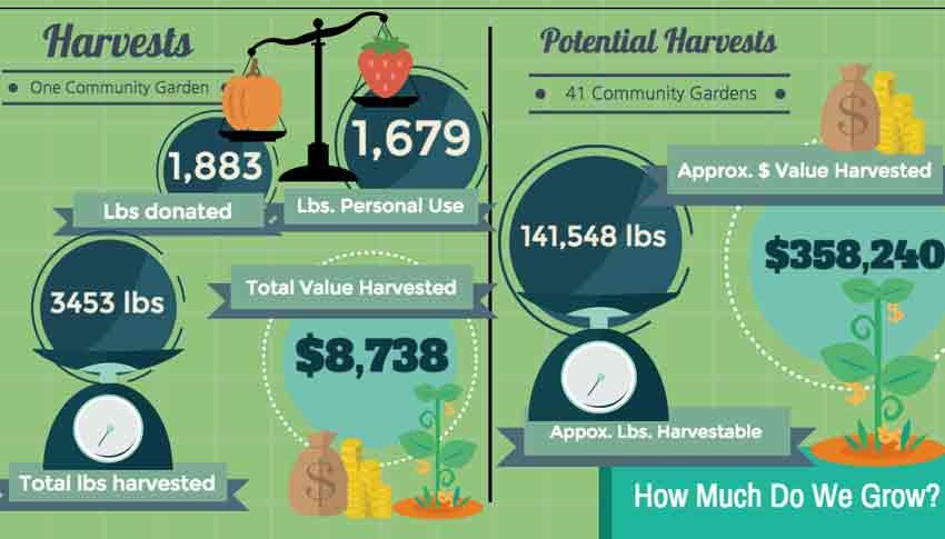 Harvest Infographic 